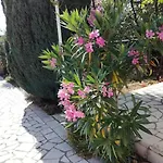 Adriana House *